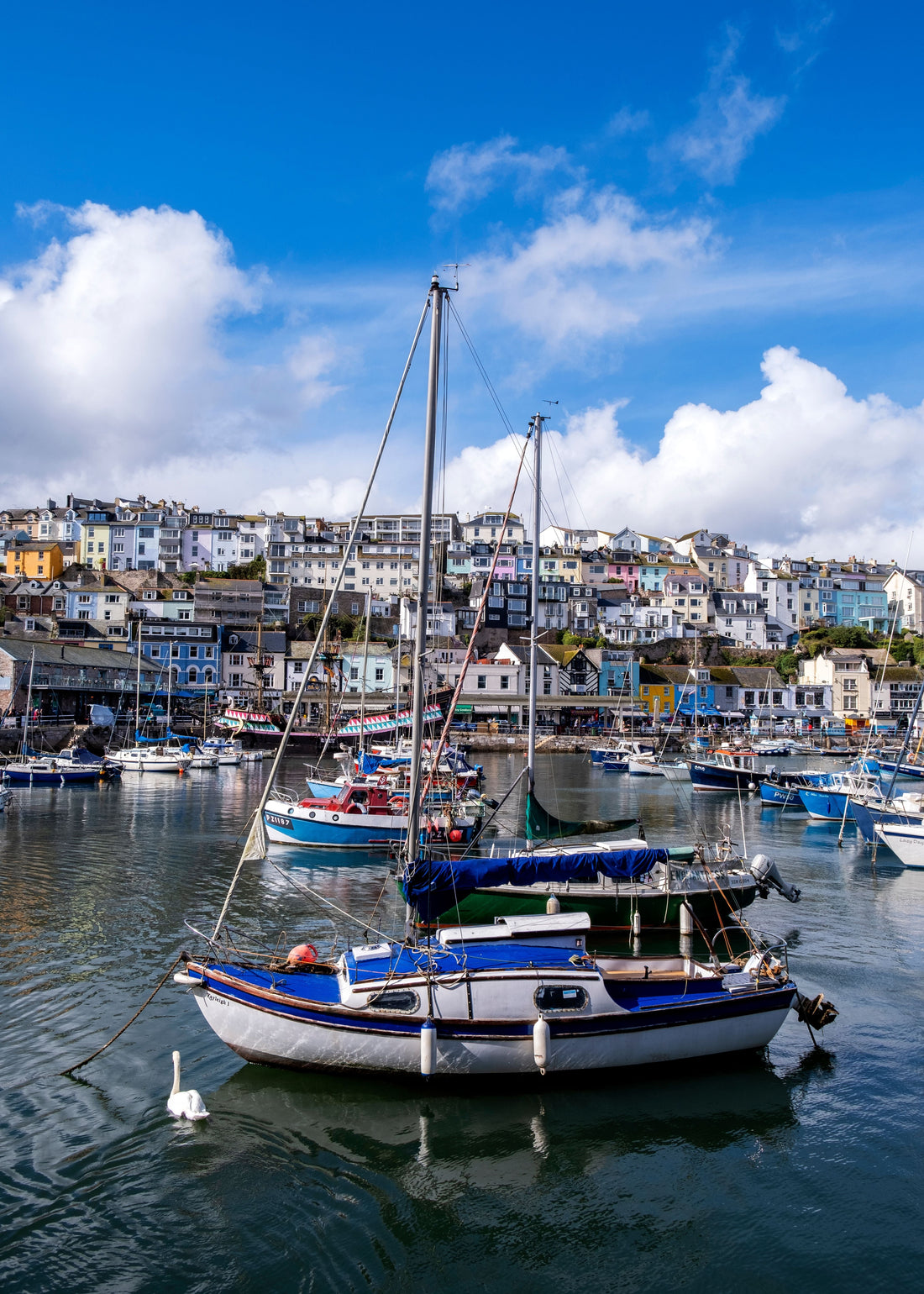 Salcombe Fishing History: The Story Behind One of Devon's Most Famous Harbour Towns