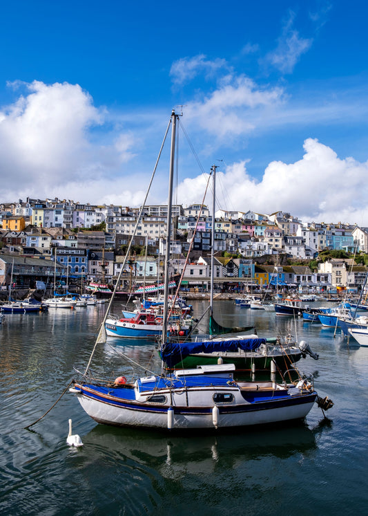 Salcombe Fishing History: The Story Behind One of Devon's Most Famous Harbour Towns