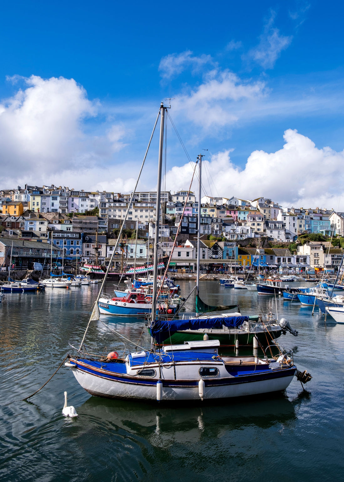 Salcombe Fishing History: The Story Behind One of Devon's Most Famous Harbour Towns - Place & Co